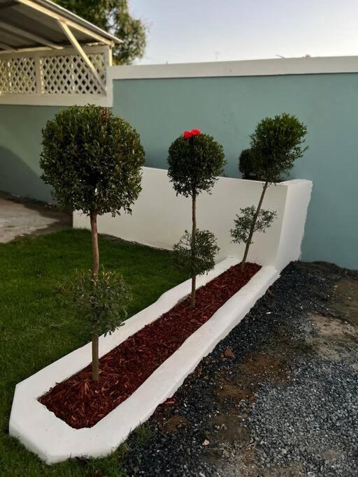 Playa Y Campo Studio إيزابيلا المظهر الخارجي الصورة